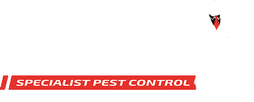 masterkill Pest control logo